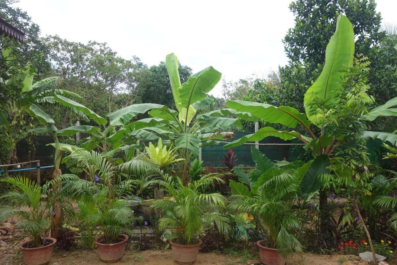 Authentic Cambodian Angkor Cottage Siem Reap Esterno foto